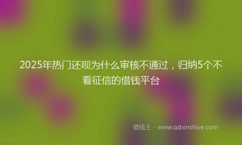 2025年热门还呗为什么审核不通过，归纳5个不看征信的借钱平台