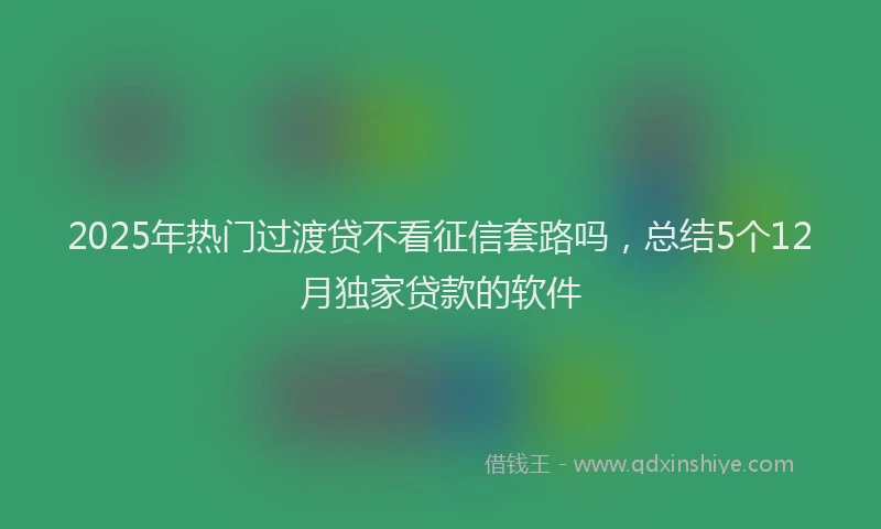 2025年热门过渡贷不看征信套路吗，总结5个12月独家贷款的软件