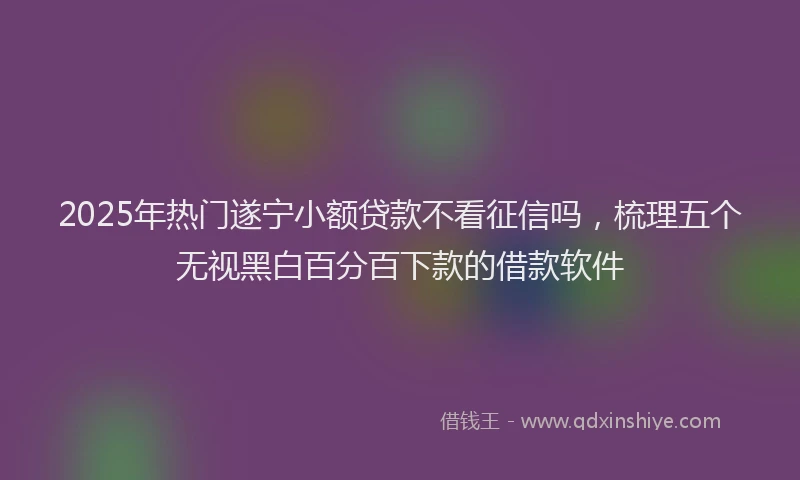 2025年热门遂宁小额贷款不看征信吗，梳理五个无视黑白百分百下款的借款软件