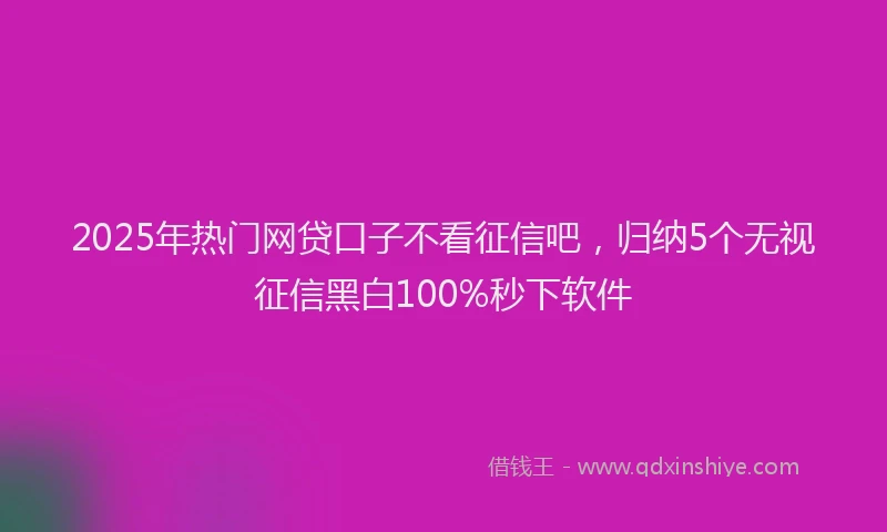 2025年热门网贷口子不看征信吧，归纳5个无视征信黑白100%秒下软件