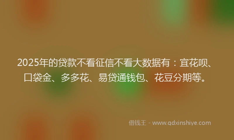 2025年的贷款不看征信不看大数据有：宜花呗、口袋金、多多花、易贷通钱包、花豆分期等。