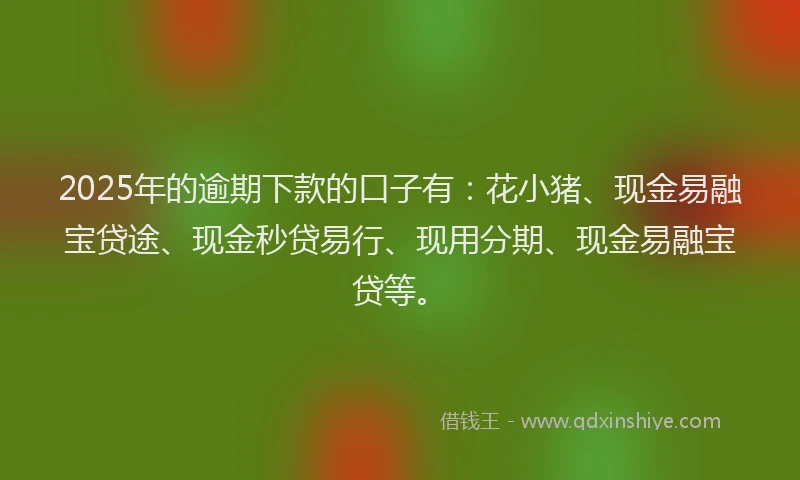 2025年的逾期下款的口子有：花小猪、现金易融宝贷途、现金秒贷易行、现用分期、现金易融宝贷等。