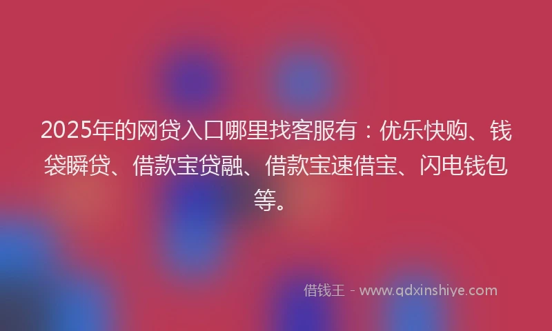2025年的网贷入口哪里找客服有：优乐快购、钱袋瞬贷、借款宝贷融、借款宝速借宝、闪电钱包等。