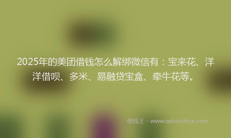 2025年的美团借钱怎么解绑微信有：宝来花、洋洋借呗、多米、易融贷宝盒、牵牛花等。