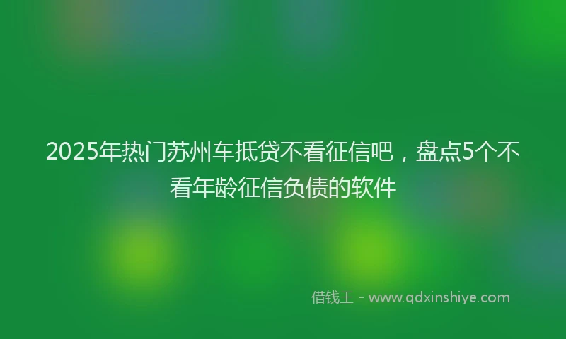 2025年热门苏州车抵贷不看征信吧，盘点5个不看年龄征信负债的软件