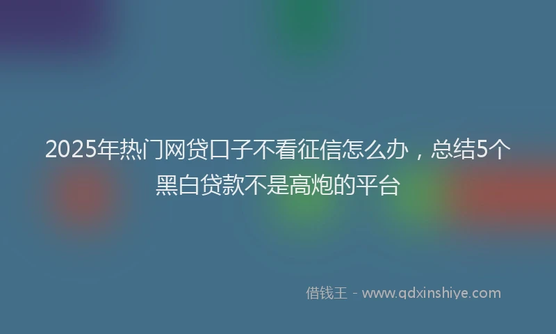 2025年热门网贷口子不看征信怎么办，总结5个黑白贷款不是高炮的平台