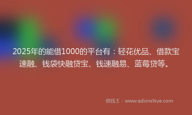 2025年的能借1000的平台有：轻花优品、借款宝速融、钱袋快融贷宝、钱速融易、蓝莓贷等。