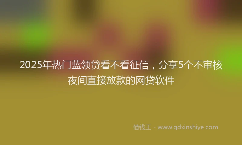 2025年热门蓝领贷看不看征信，分享5个不审核夜间直接放款的网贷软件
