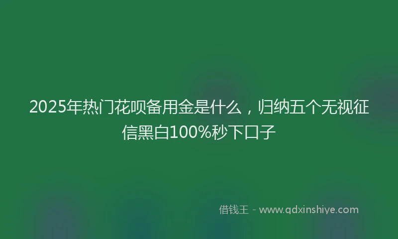 2025年热门花呗备用金是什么，归纳五个无视征信黑白100%秒下口子