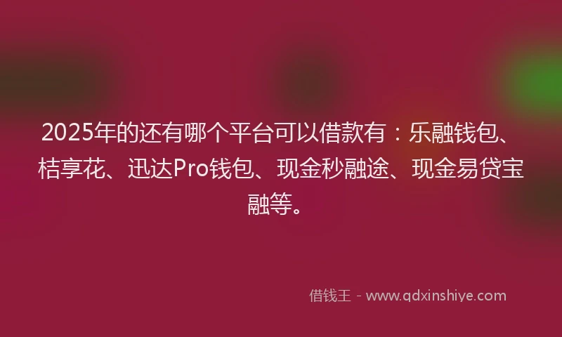 2025年的还有哪个平台可以借款有：乐融钱包、桔享花、迅达Pro钱包、现金秒融途、现金易贷宝融等。