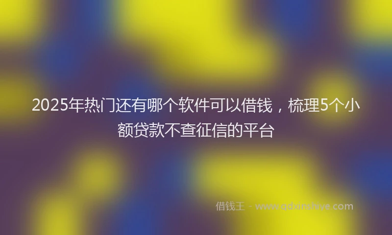 2025年热门还有哪个软件可以借钱，梳理5个小额贷款不查征信的平台