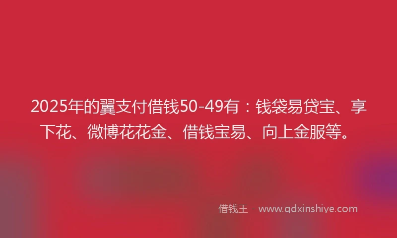 2025年的翼支付借钱50-49有：钱袋易贷宝、享下花、微博花花金、借钱宝易、向上金服等。