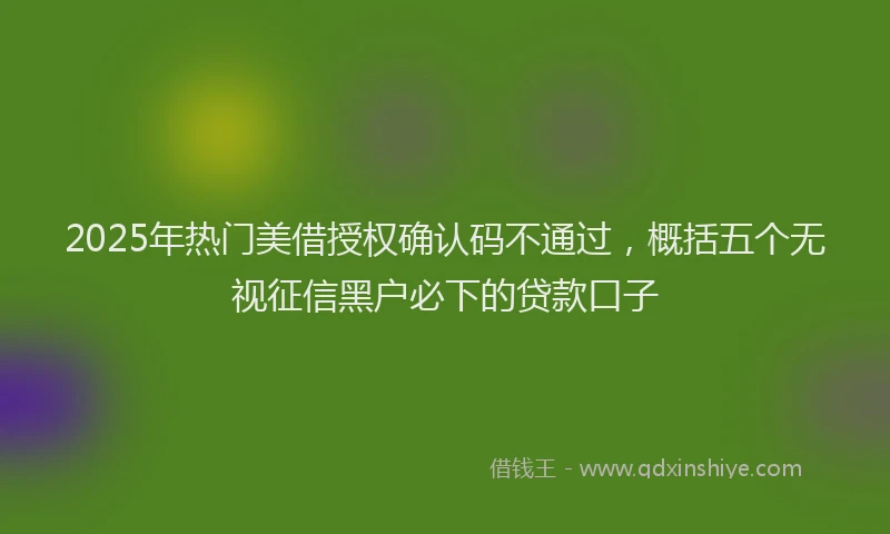 2025年热门美借授权确认码不通过，概括五个无视征信黑户必下的贷款口子