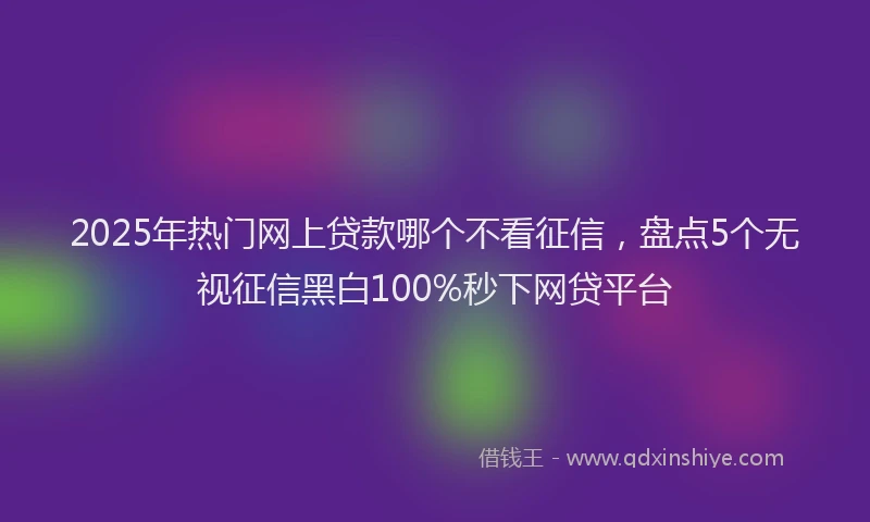 2025年热门网上贷款哪个不看征信，盘点5个无视征信黑白100%秒下网贷平台
