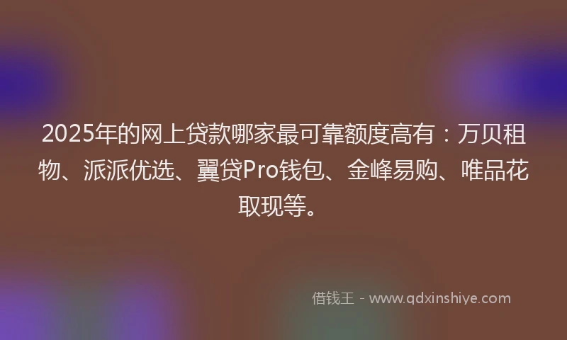 2025年的网上贷款哪家最可靠额度高有：万贝租物、派派优选、翼贷Pro钱包、金峰易购、唯品花取现等。