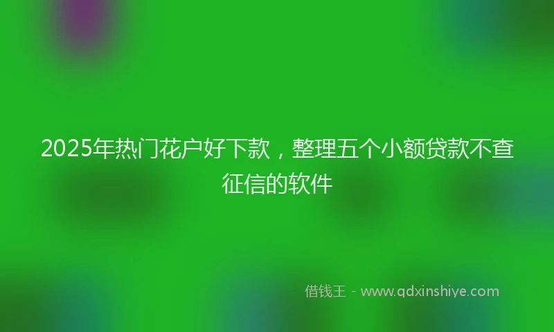 2025年热门花户好下款，整理五个小额贷款不查征信的软件