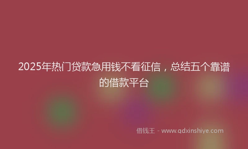 2025年热门贷款急用钱不看征信，总结五个靠谱的借款平台