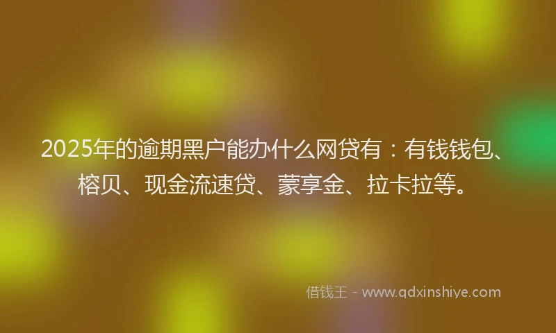 2025年的逾期黑户能办什么网贷有：有钱钱包、榕贝、现金流速贷、蒙享金、拉卡拉等。