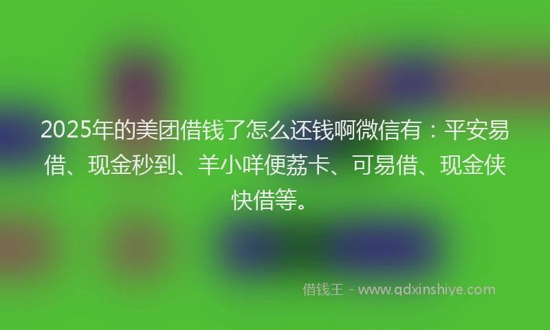 2025年的美团借钱了怎么还钱啊微信有：平安易借、现金秒到、羊小咩便荔卡、可易借、现金侠快借等。