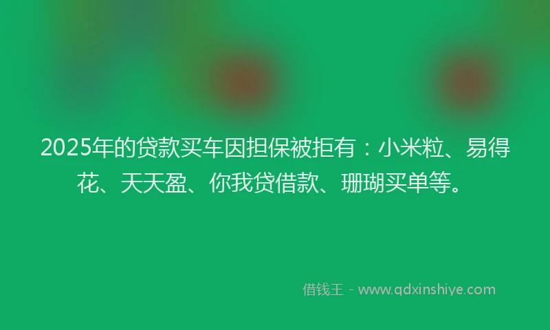 2025年的贷款买车因担保被拒有：小米粒、易得花、天天盈、你我贷借款、珊瑚买单等。