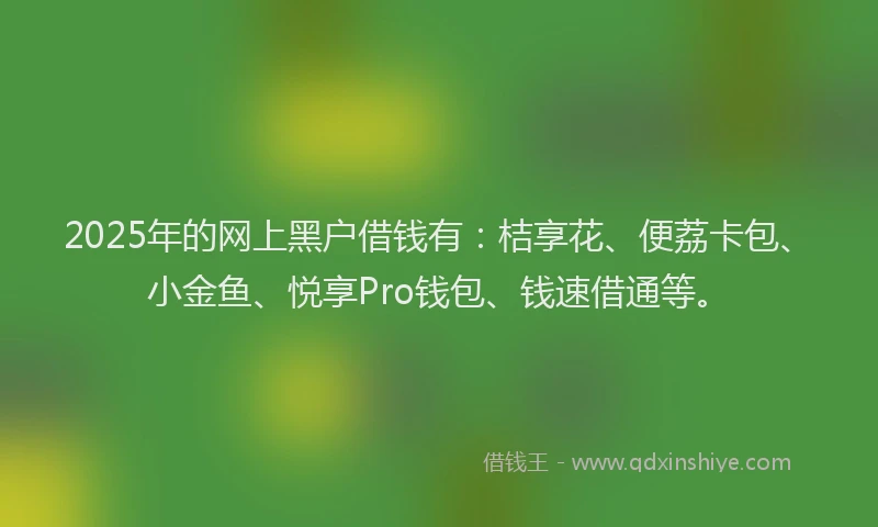 2025年的网上黑户借钱有：桔享花、便荔卡包、小金鱼、悦享Pro钱包、钱速借通等。