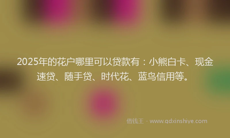 2025年的花户哪里可以贷款有：小熊白卡、现金速贷、随手贷、时代花、蓝鸟信用等。