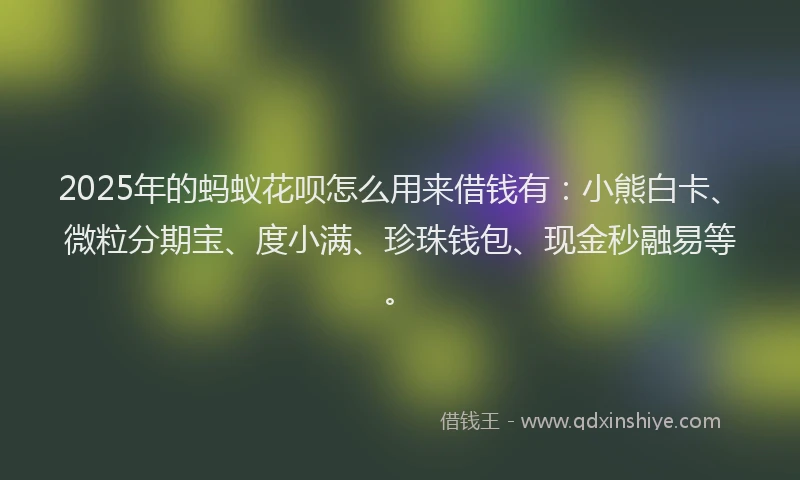 2025年的蚂蚁花呗怎么用来借钱有：小熊白卡、微粒分期宝、度小满、珍珠钱包、现金秒融易等。