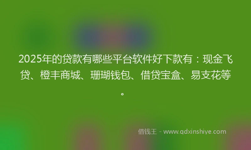 2025年的贷款有哪些平台软件好下款有：现金飞贷、橙丰商城、珊瑚钱包、借贷宝盒、易支花等。