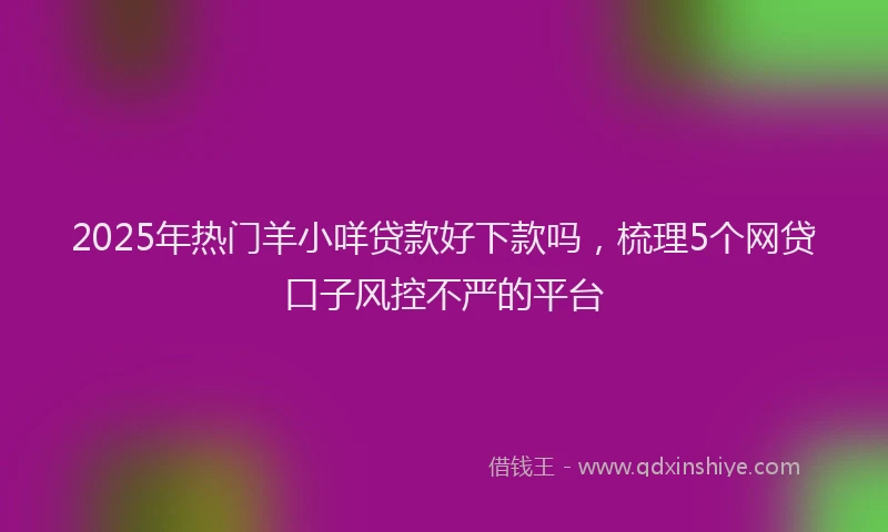 2025年热门羊小咩贷款好下款吗，梳理5个网贷口子风控不严的平台