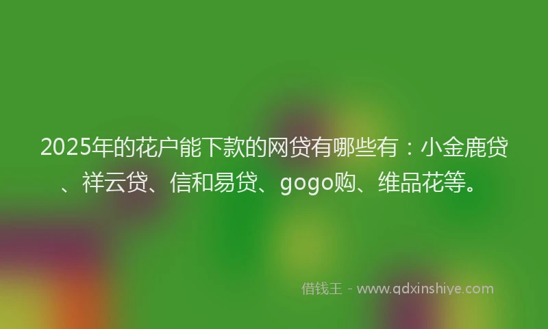 2025年的花户能下款的网贷有哪些有：小金鹿贷、祥云贷、信和易贷、gogo购、维品花等。