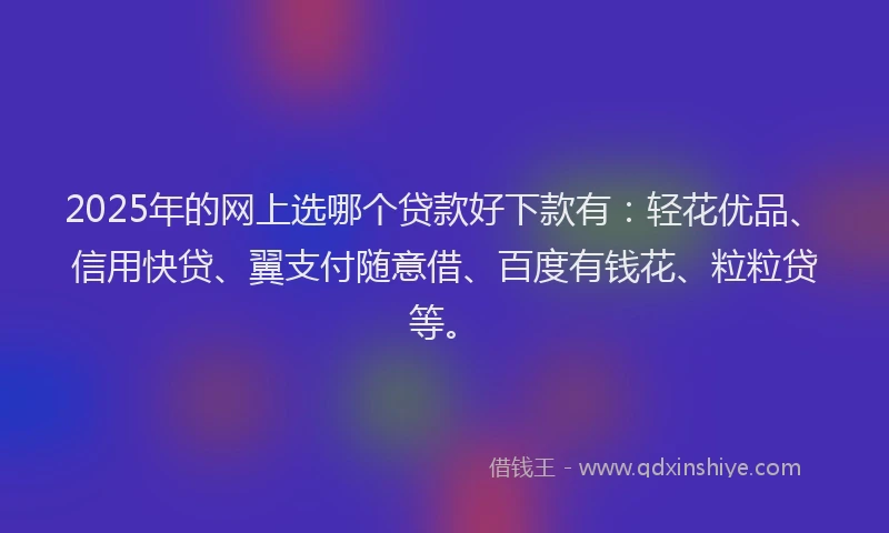2025年的网上选哪个贷款好下款有：轻花优品、信用快贷、翼支付随意借、百度有钱花、粒粒贷等。