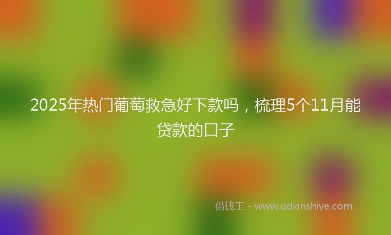 2025年热门葡萄救急好下款吗，梳理5个11月能贷款的口子