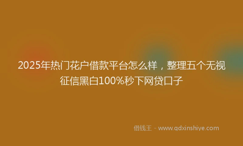 2025年热门花户借款平台怎么样，整理五个无视征信黑白100%秒下网贷口子
