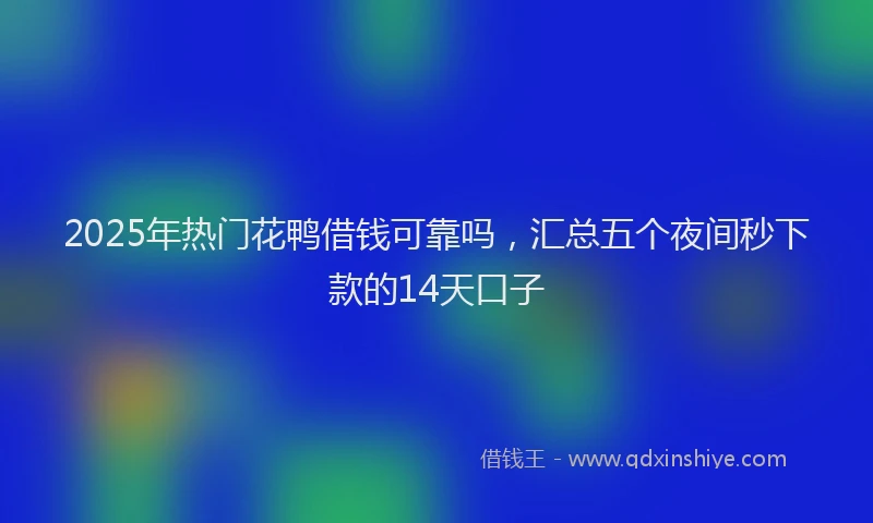 2025年热门花鸭借钱可靠吗，汇总五个夜间秒下款的14天口子