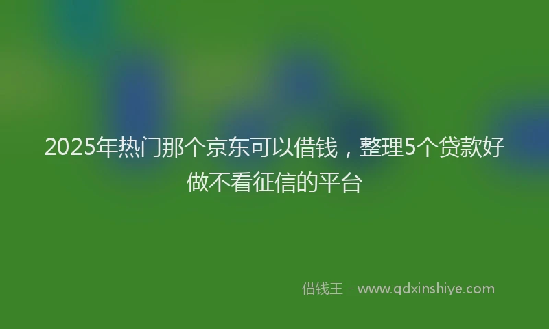 2025年热门那个京东可以借钱，整理5个贷款好做不看征信的平台