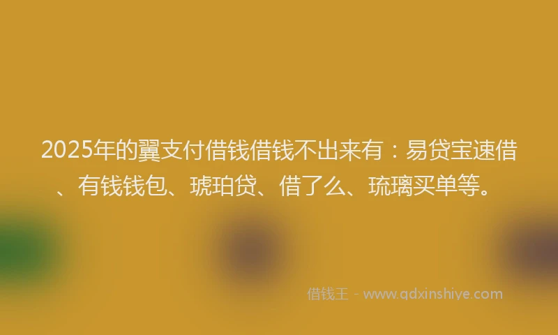 2025年的翼支付借钱借钱不出来有：易贷宝速借、有钱钱包、琥珀贷、借了么、琉璃买单等。