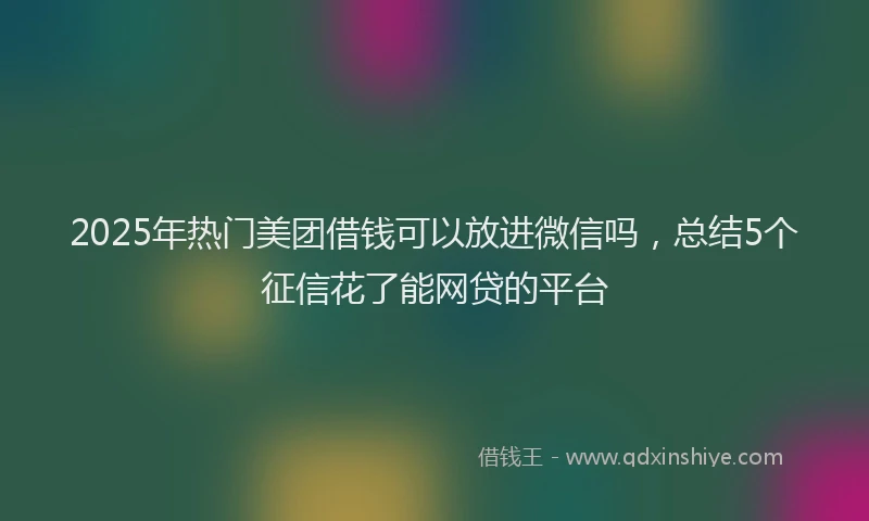 2025年热门美团借钱可以放进微信吗，总结5个征信花了能网贷的平台