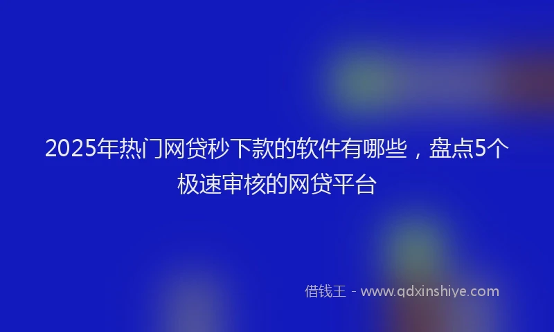 2025年热门网贷秒下款的软件有哪些，盘点5个极速审核的网贷平台