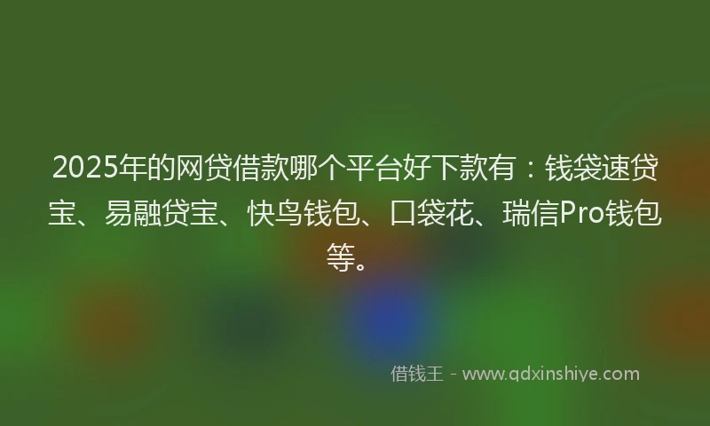 2025年的网贷借款哪个平台好下款有：钱袋速贷宝、易融贷宝、快鸟钱包、口袋花、瑞信Pro钱包等。