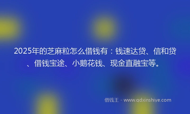 2025年的芝麻粒怎么借钱有：钱速达贷、信和贷、借钱宝途、小鹅花钱、现金直融宝等。