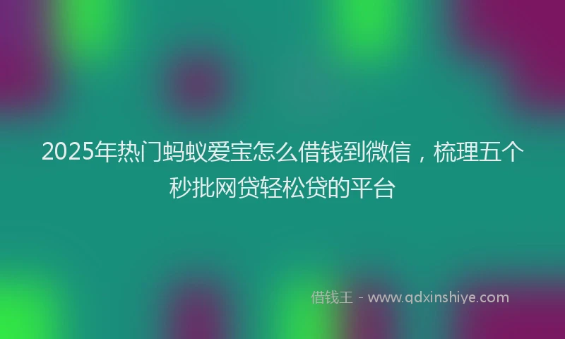 2025年热门蚂蚁爱宝怎么借钱到微信，梳理五个秒批网贷轻松贷的平台
