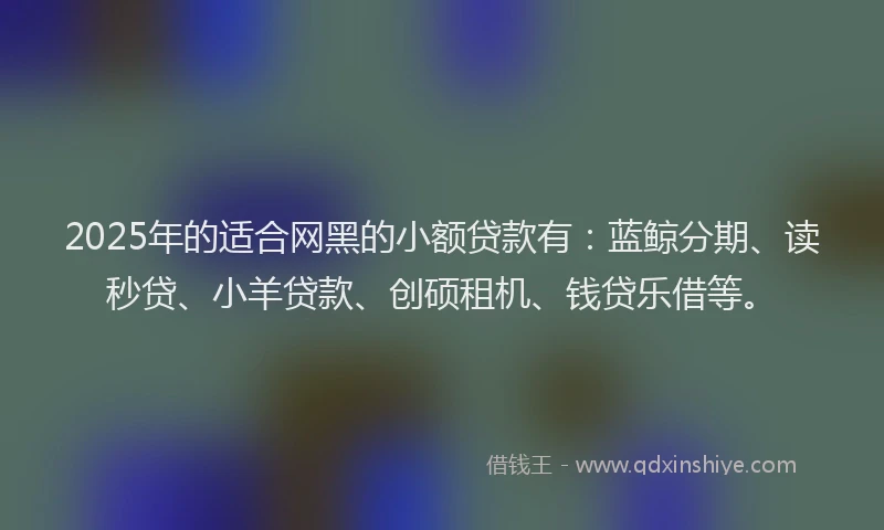 2025年的适合网黑的小额贷款有：蓝鲸分期、读秒贷、小羊贷款、创硕租机、钱贷乐借等。