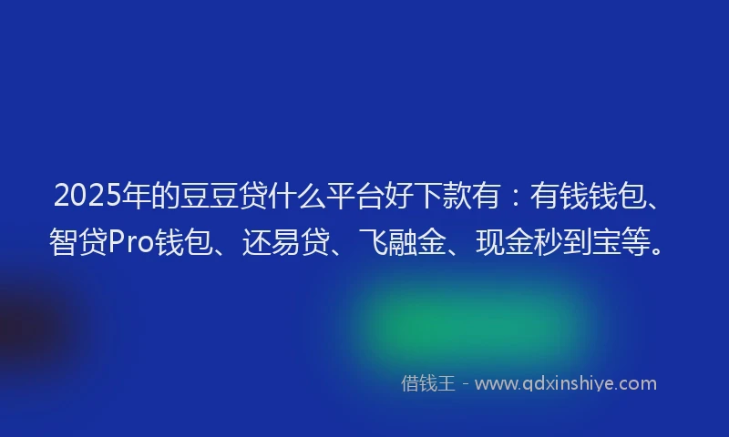 2025年的豆豆贷什么平台好下款有：有钱钱包、智贷Pro钱包、还易贷、飞融金、现金秒到宝等。