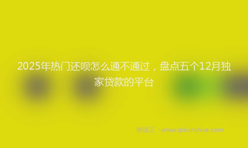 2025年热门还呗怎么通不通过，盘点五个12月独家贷款的平台
