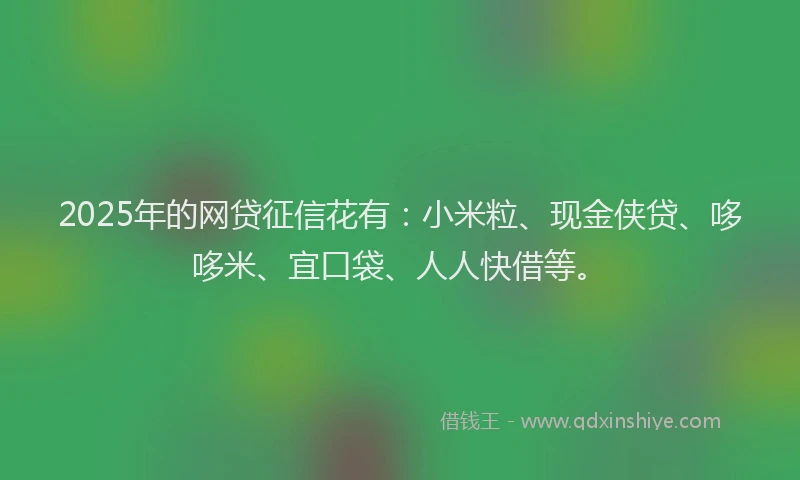 2025年的网贷征信花有：小米粒、现金侠贷、哆哆米、宜口袋、人人快借等。