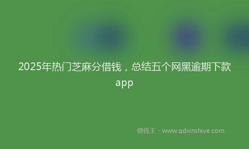 2025年热门芝麻分借钱，总结五个网黑逾期下款app