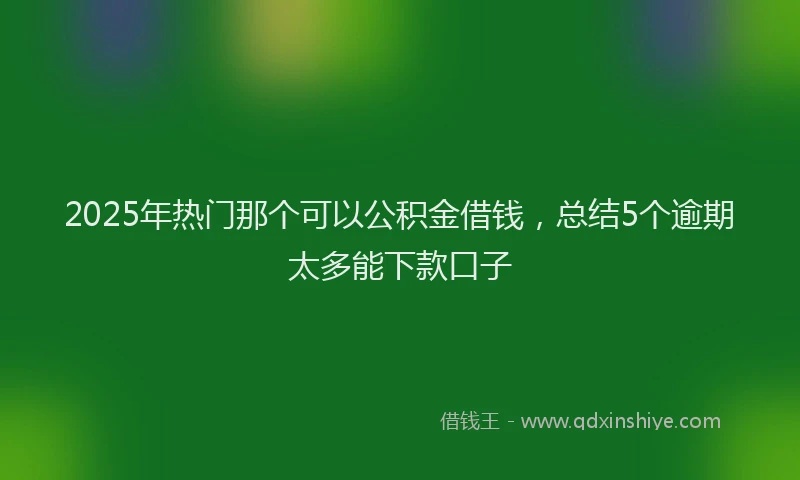 2025年热门那个可以公积金借钱，总结5个逾期太多能下款口子