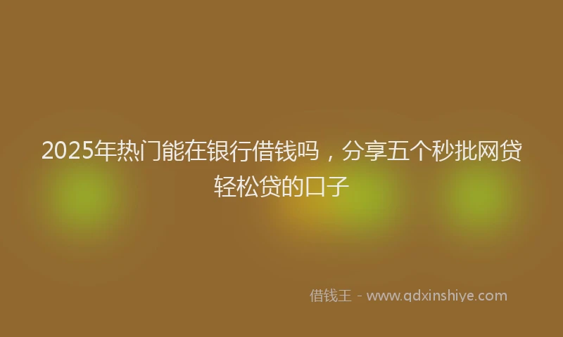 2025年热门能在银行借钱吗，分享五个秒批网贷轻松贷的口子