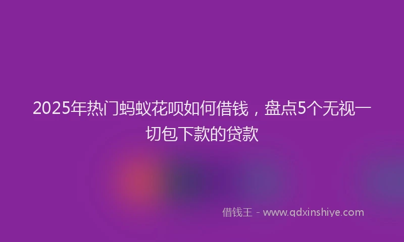 2025年热门蚂蚁花呗如何借钱，盘点5个无视一切包下款的贷款