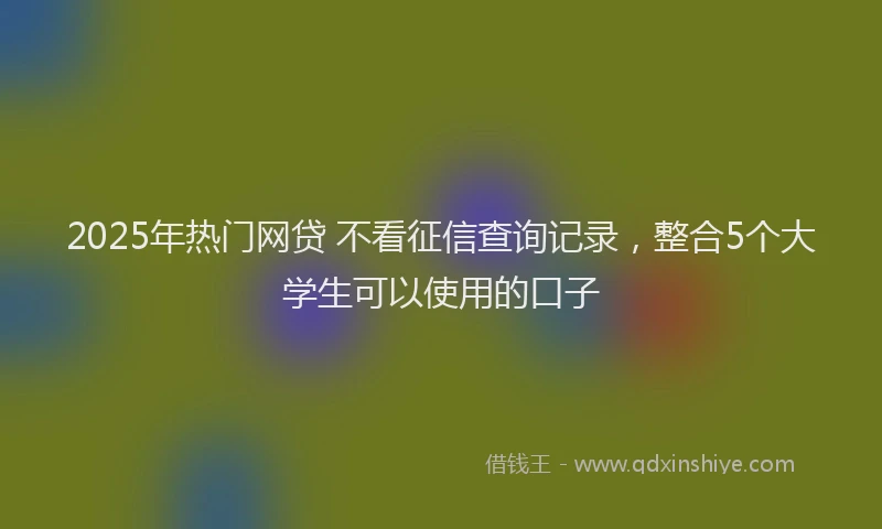 2025年热门网贷 不看征信查询记录，整合5个大学生可以使用的口子